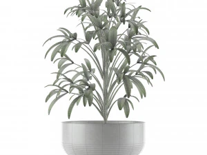 single plant 12 3D Model