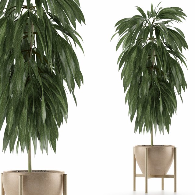 single plant 13 3D Model .c4d .max .obj .3ds .fbx .stl .blend 