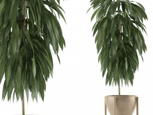 одно растение 13 3D Модель