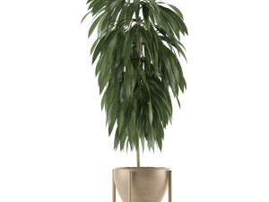 single plant 13 3D Model