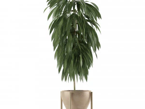 single plant 13 3D Model