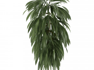 single plant 13 3D Model