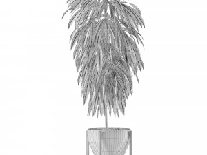 single plant 13 3D Model