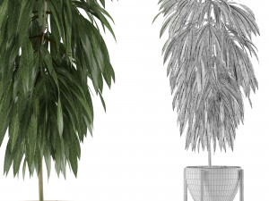 single plant 13 3D Model