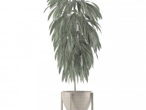single plant 13 3D Model