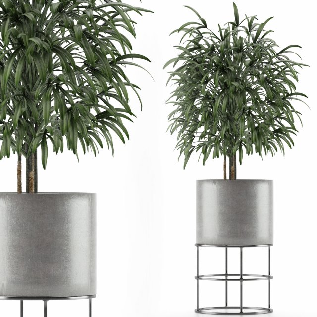 single plant 14 3D 模型 .c4d .max .obj .3ds .fbx .stl .blend 