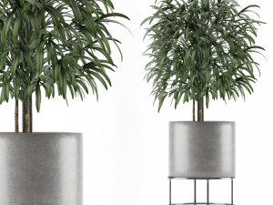 single plant 14 3D Model
