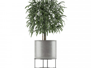 single plant 14 3D 模型