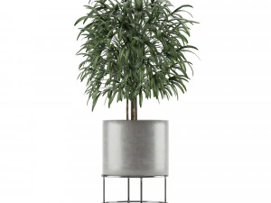 single plant 14 3D Model
