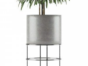 single plant 14 3D 模型