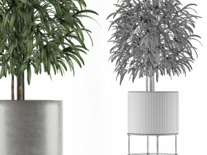single plant 14 3D 模型