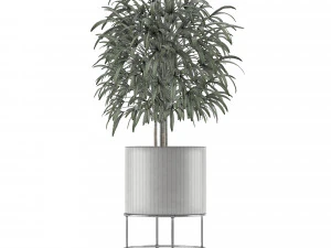single plant 14 3D Model