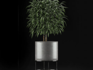 single plant 14 3D 模型