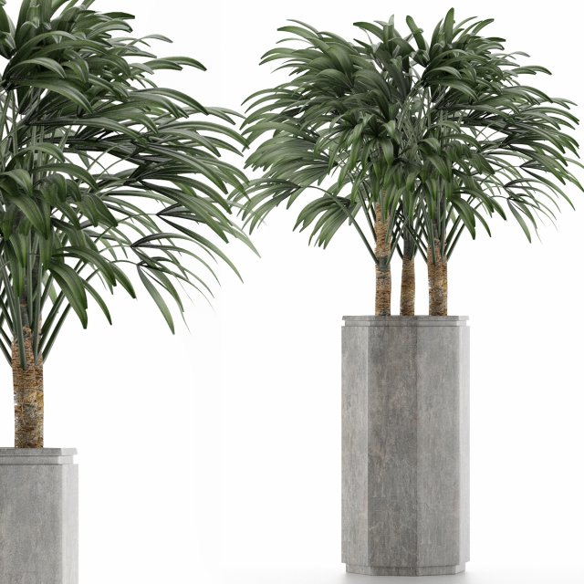 single plant 15 3D Model .c4d .max .obj .3ds .fbx .stl .blend 