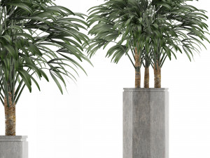 single plant 15 3D Model