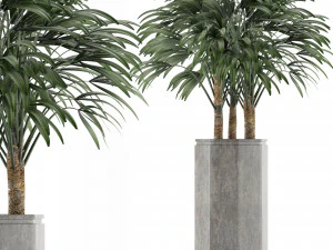 одно растение 15 3D Модель