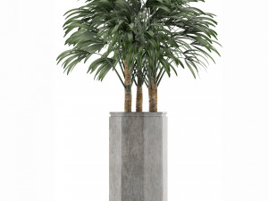 single plant 15 3D Model