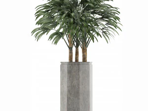 single plant 15 3D Model