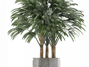 single plant 15 3D Model