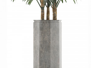 single plant 15 3D Model