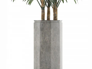 single plant 15 3D Model