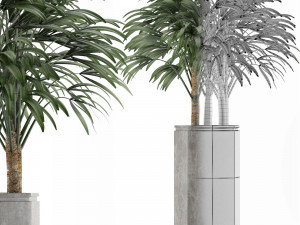 single plant 15 3D Model