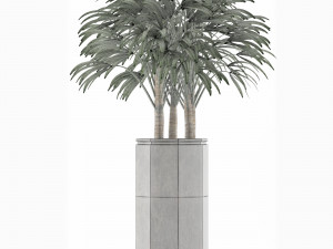 single plant 15 3D Model