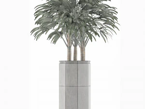 single plant 15 3D Model