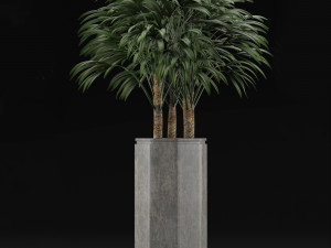 single plant 15 3D Model