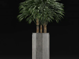 single plant 15 3D Model