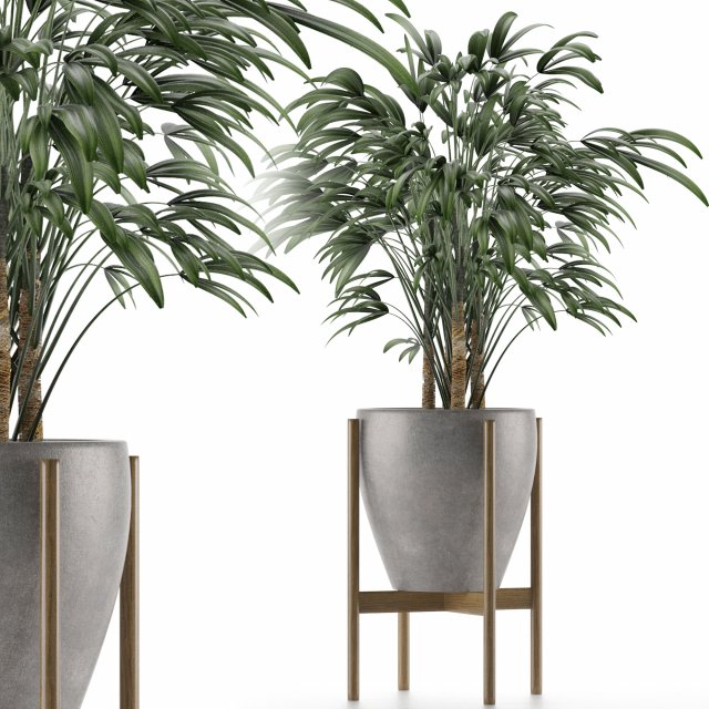 single plant 16 3D Model .c4d .max .obj .3ds .fbx .stl .blend 
