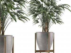 single plant 16 3D Model