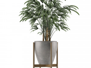single plant 16 3D Model
