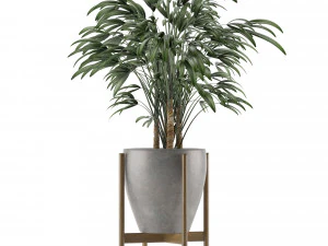 single plant 16 3D Model
