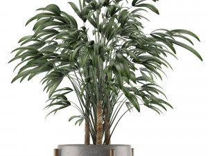 single plant 16 3D Model