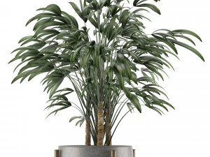 single plant 16 3D Model