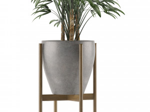 single plant 16 3D Model