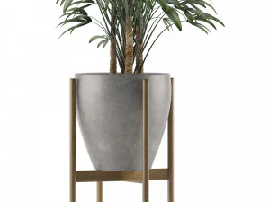 single plant 16 3D Model