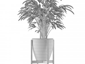 single plant 16 3D Model