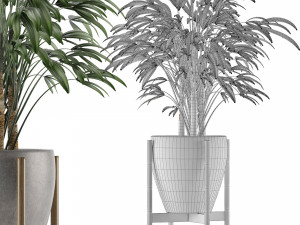 single plant 16 3D Model