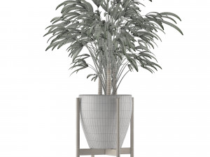 single plant 16 3D Model