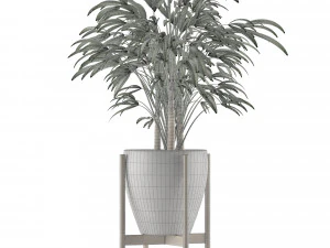 single plant 16 3D Model
