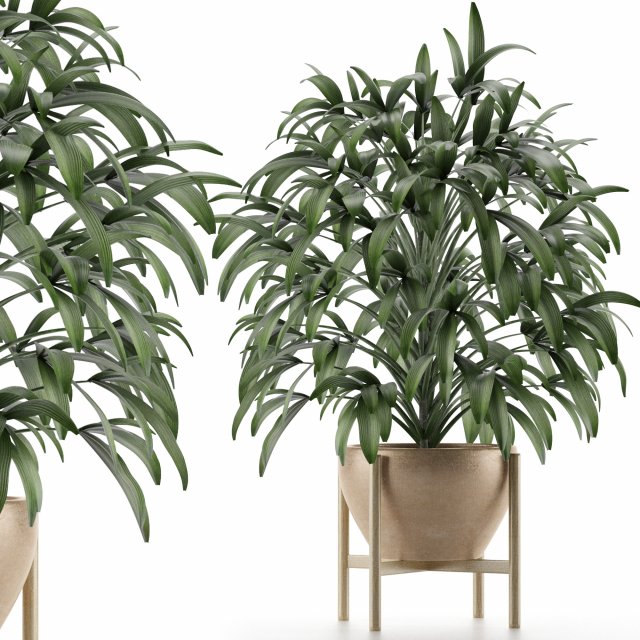 single plant 17 3D-Modell .c4d .max .obj .3ds .fbx .stl .blend 
