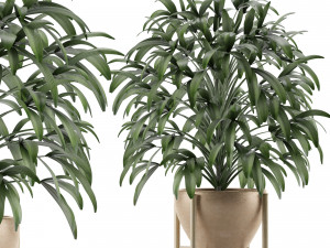single plant 17 3D मॉडल