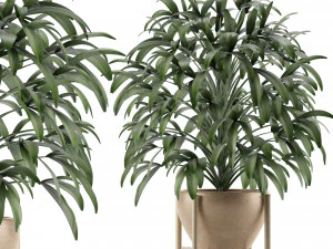 одно растение 17 3D Модель