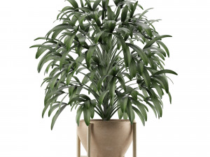 single plant 17 3D-Modell