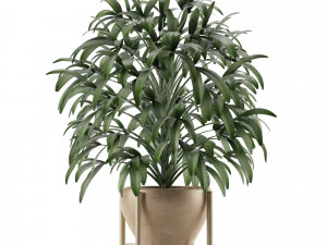 single plant 17 3D Model