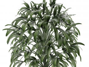 single plant 17 3D-Modell