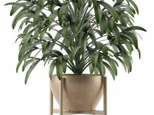 single plant 17 3D-Modell
