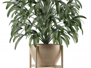 single plant 17 3D Model
